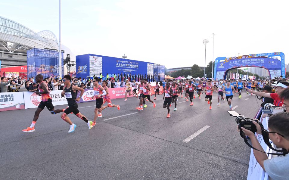 来这里跑马, om 来这里跑马, om